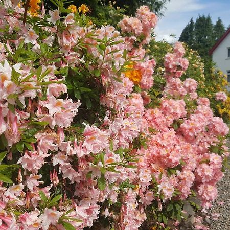 Torbeag House Bed & Breakfast Fort William Bagian luar foto