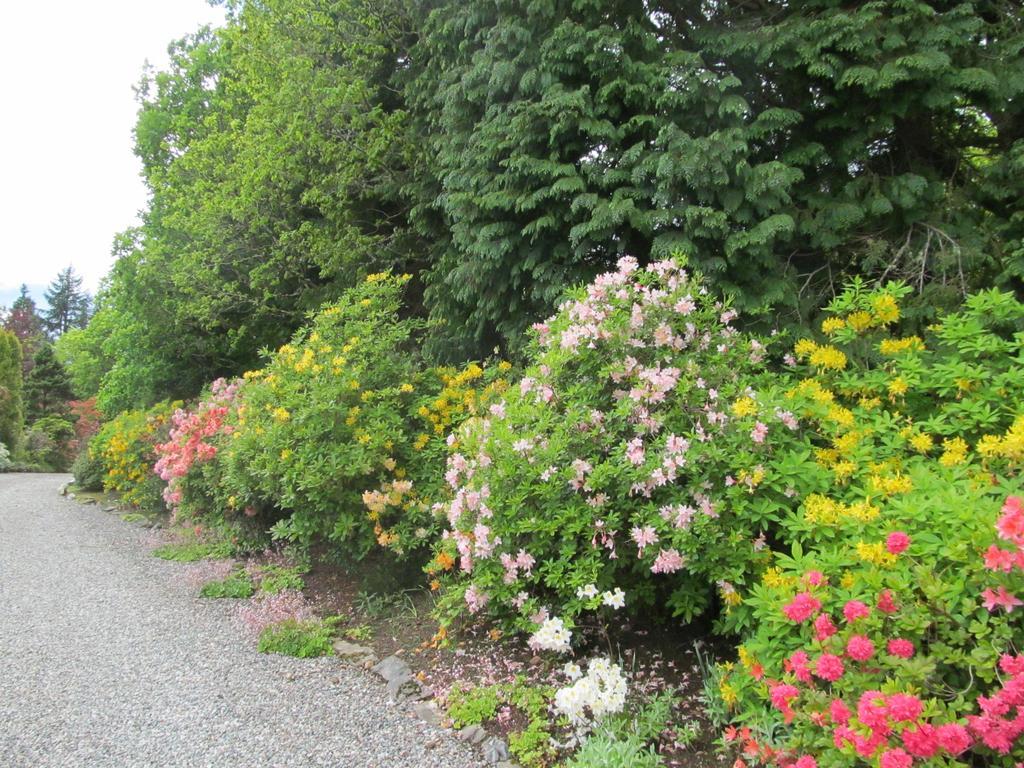 Torbeag House Bed & Breakfast Fort William Bagian luar foto